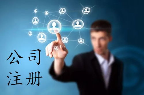 上海軟件公司注冊(cè)全攻略 流程、費(fèi)用與網(wǎng)絡(luò)技術(shù)服務(wù)指南